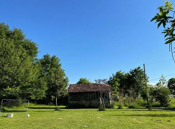 La Ransonniere De Bas *