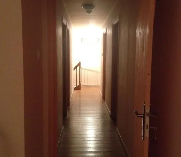 La Ransonniere De Bas *